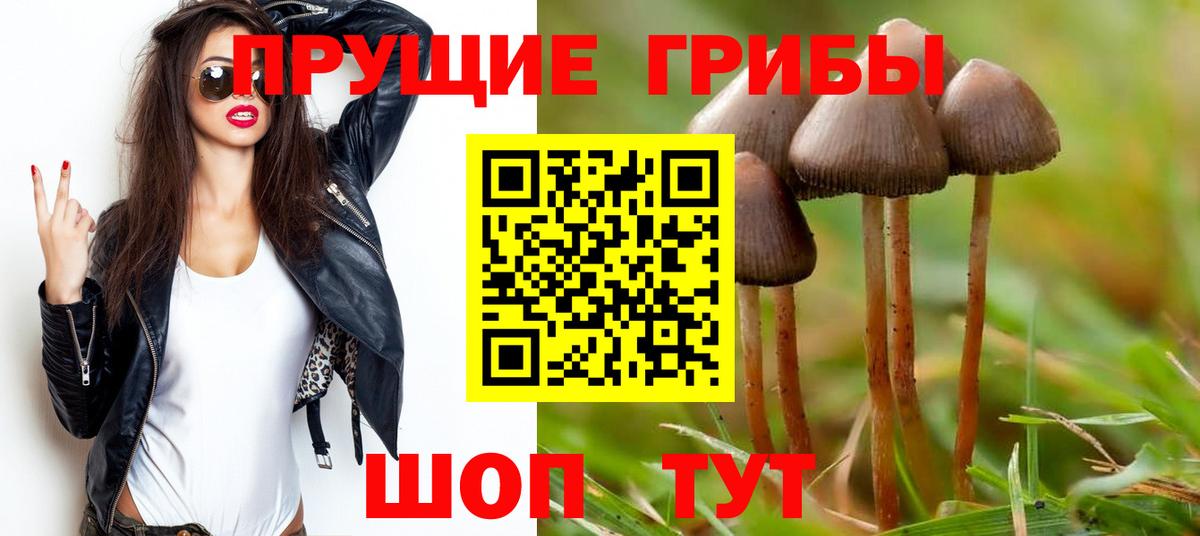 Галлюциногенные грибы мицелий  как найти закладки  Лесосибирск  Вход с VPN  Псилоцибиновые грибы Psilocybe 